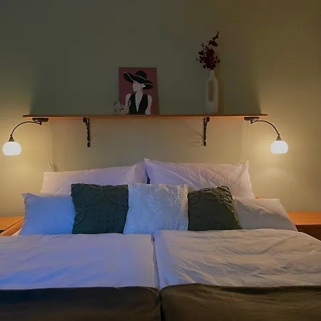 Andiko Vendeghaz ボニャルツバシュ