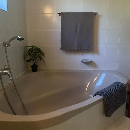 別荘 Andiko Vendeghaz *