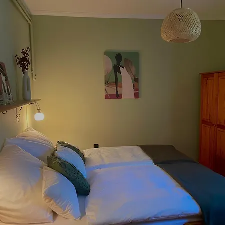 別荘 Andiko Vendeghaz *